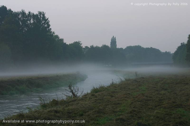 Misty Morning