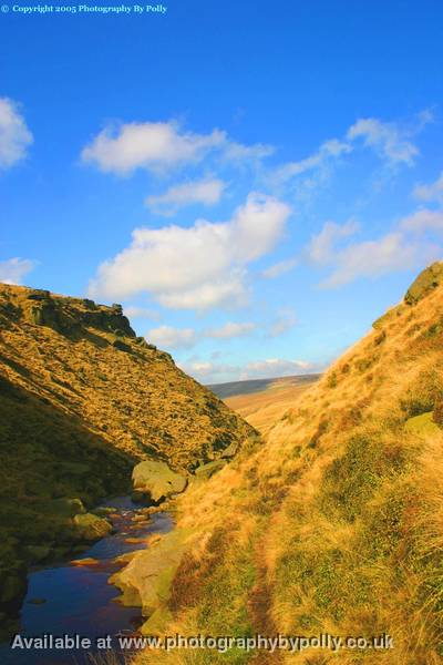 Mountain Stream