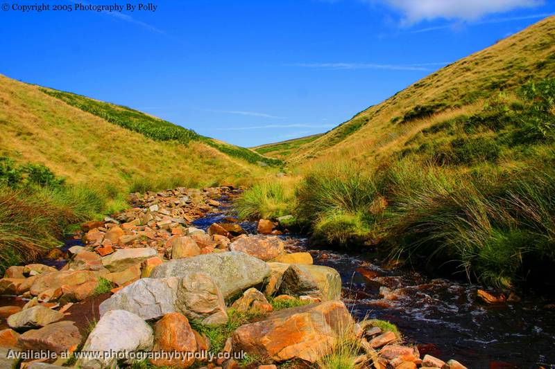 Peat Water