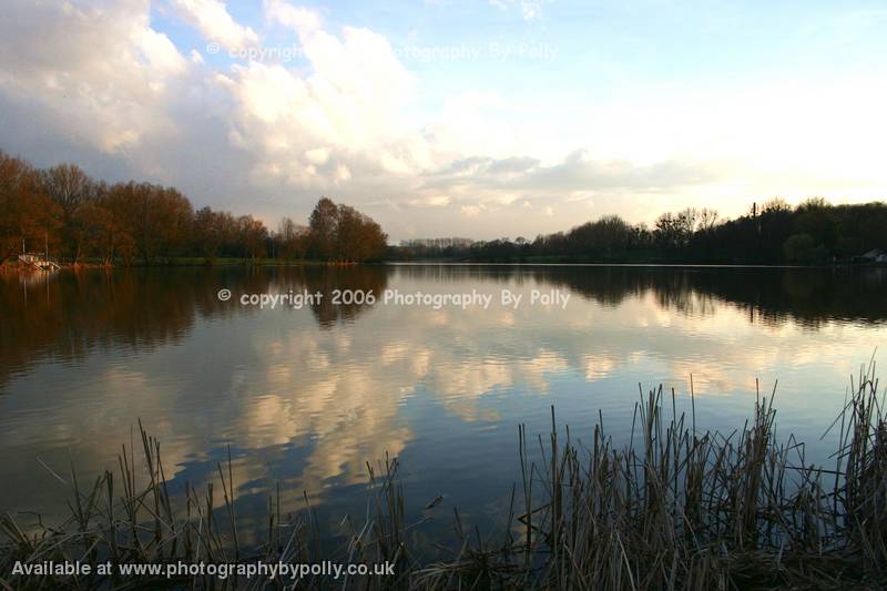 Red Wood Waters