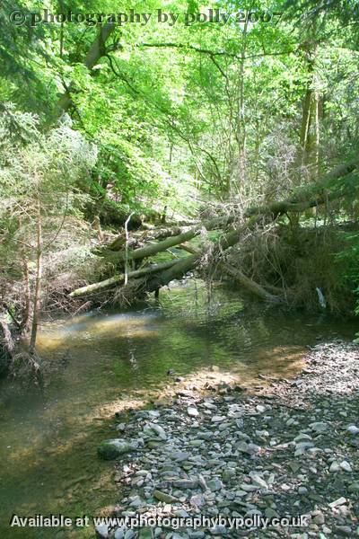 River Crossing