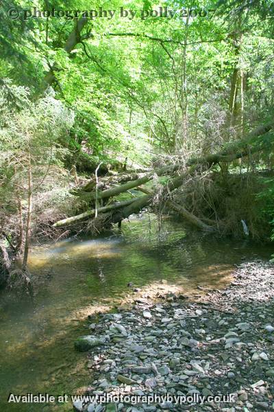 River Crossing