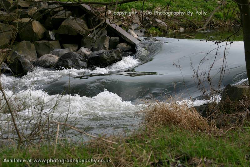 River Mouth 