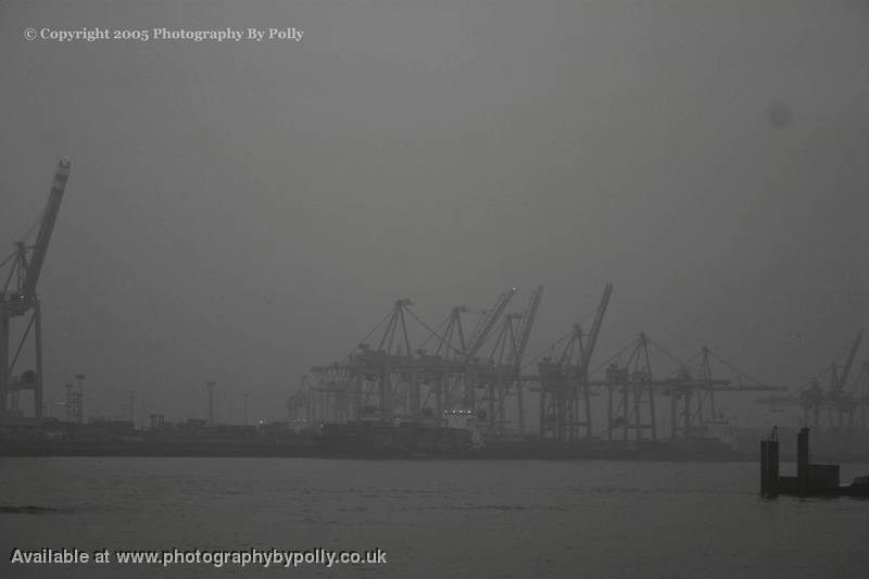 Sea Cranes