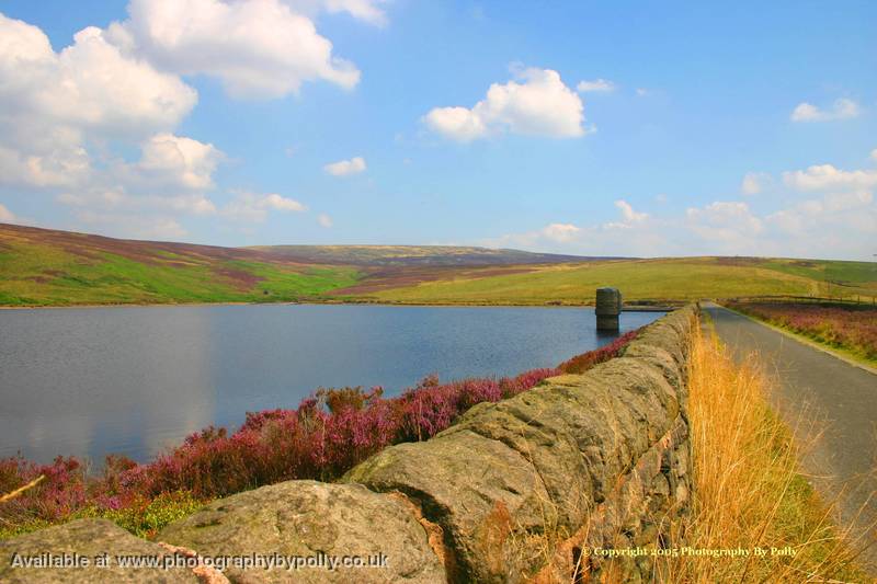 Sweeping Ressy Moor