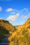 Mountain Stream