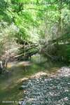 River Crossing