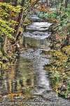 River Roll