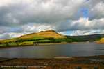Yellow Hill Ressy
