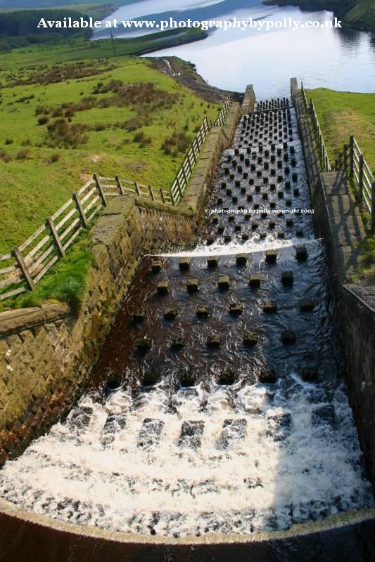 Water Cubes