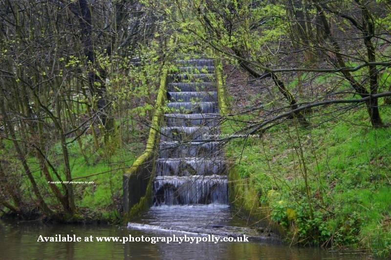 Water Steps