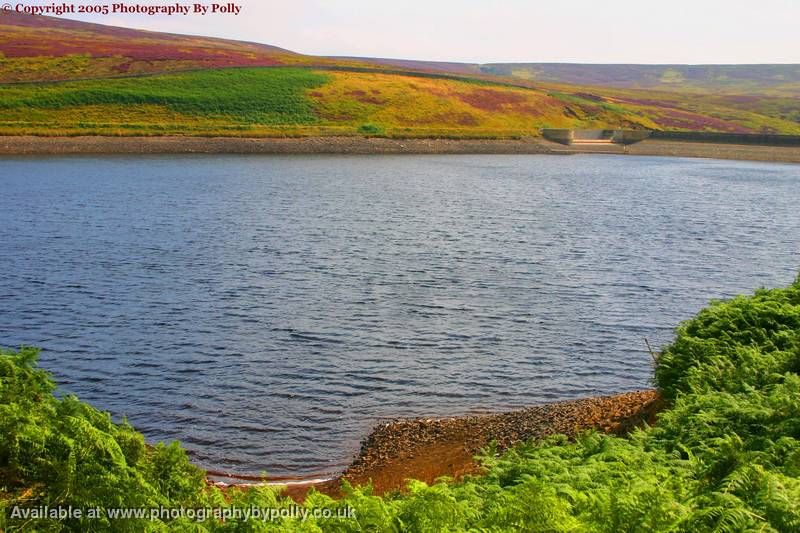 Widdop Ressy 2