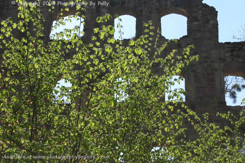 Castle Windows