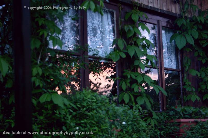 Chalet Window