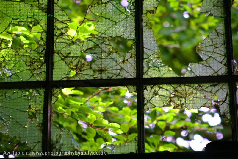 Glass and Green