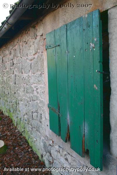 Green Door