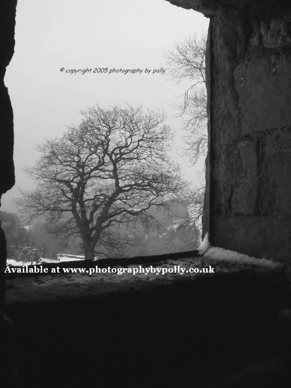 Snow Window