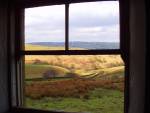 Bracken Window