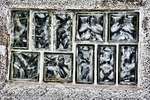 Ice Cubes