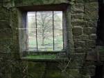 Oak Window