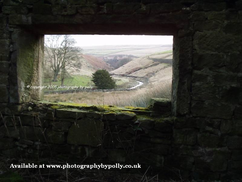 Valley Window